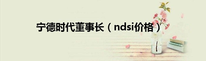 宁德时代董事长（ndsi价格）