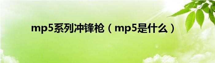 mp5系列冲锋枪（mp5是是什么）