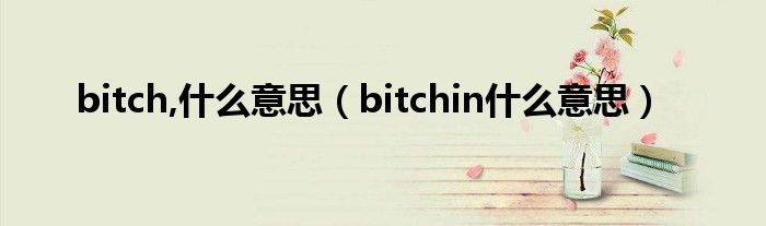 bitch,是什么意思（bitchin是什么意思）