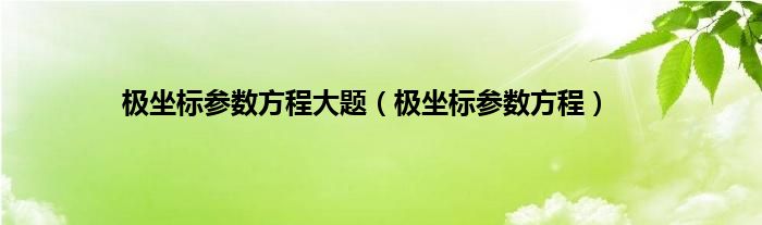 极坐标参数方程大题（极坐标参数方程）