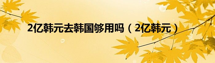 2亿韩元去韩国够用吗（2亿韩元）