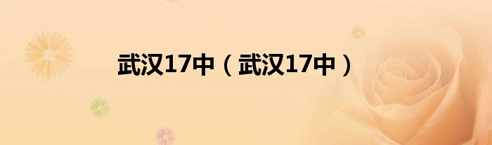 武汉17中（武汉17中）