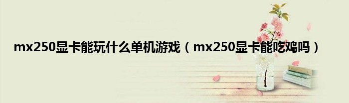 mx250显卡能玩是什么单机游戏（mx250显卡能吃鸡吗）