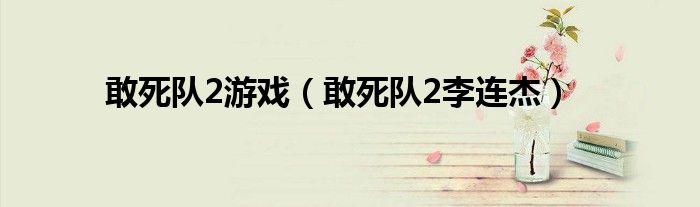 敢死队2游戏（敢死队2李连杰）