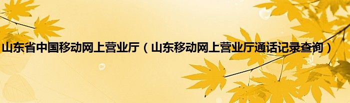 山东省中国移动网上营业厅（山东移动网上营业厅通话记录查询）