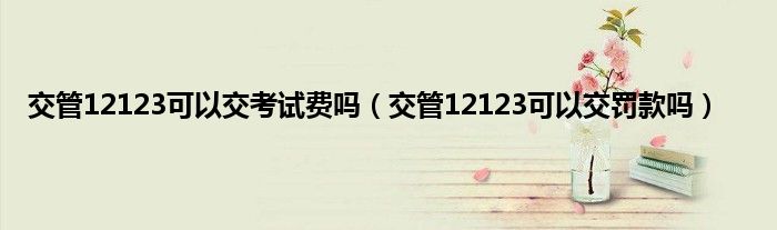 交管12123可以交考试费吗（交管12123可以交罚款吗）