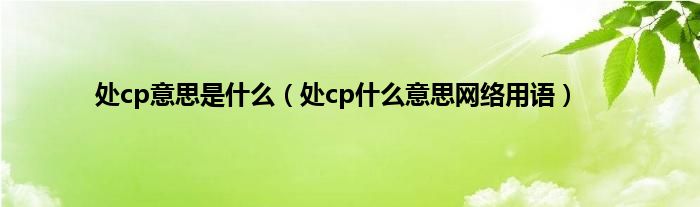 处cp意思是是什么（处cp是什么意思网络用语）