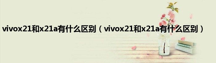 vivox21和x21a有是什么区别（vivox21和x21a有是什么区别）