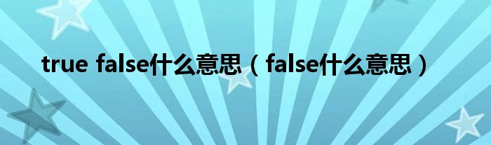 true false是什么意思（false是什么意思）