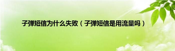 子弹短信为是什么失败（子弹短信是用流量吗）