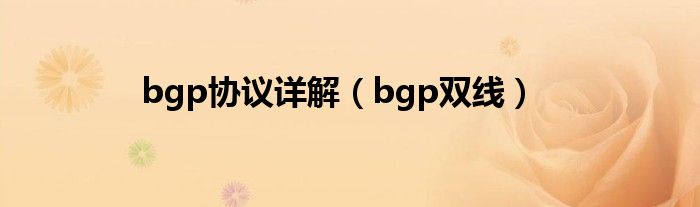 bgp协议详解（bgp双线）