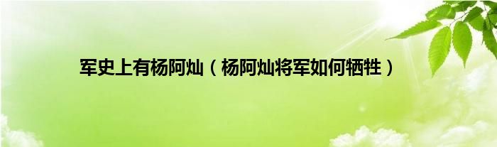 军史上有杨阿灿（杨阿灿将军如何牺牲）