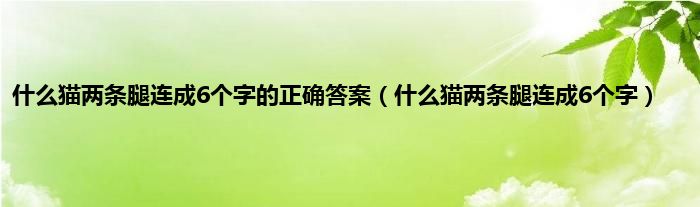 是什么猫两条腿连成6个字的正确答案（是什么猫两条腿连成6个字）