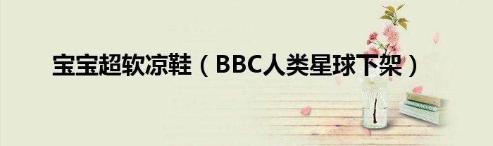 宝宝超软凉鞋（BBC人类星球下架）