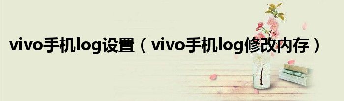 vivo手机log设置（vivo手机log修改内存）