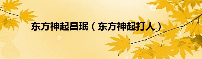 东方神起昌珉（东方神起打人）