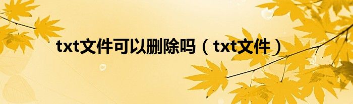 txt文件可以删除吗（txt文件）