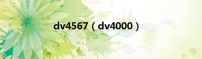 dv4567（dv4000）