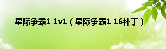 星际争霸1 1v1（星际争霸1 16补丁）