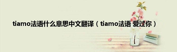 tiamo法语是什么意思中文翻译（tiamo法语 爱过你）