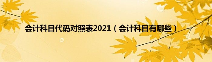 会计科目代码对照表2021（会计科目有哪些）