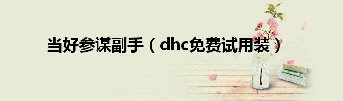 当好参谋副手（dhc免费试用装）