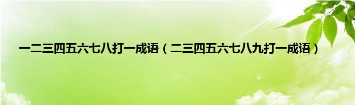 一二三四五六七八打一成语（二三四五六七八九打一成语）