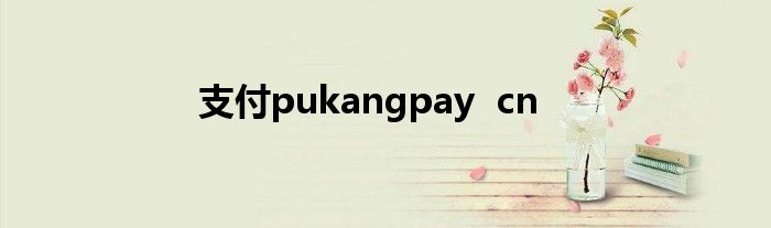 支付pukangpay  cn