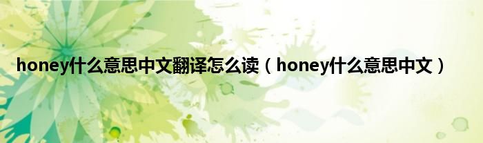 honey是什么意思中文翻译怎么读（honey是什么意思中文）