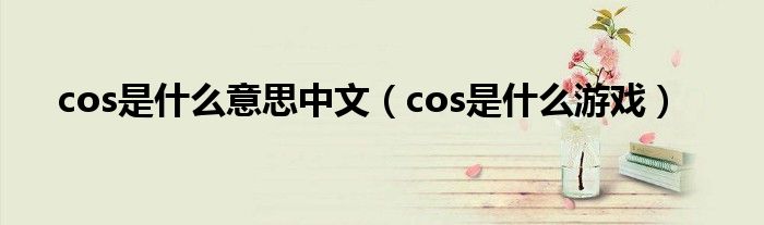 cos是是什么意思中文（cos是是什么游戏）