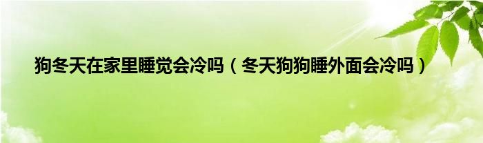 狗冬天在家里睡觉会冷吗（冬天狗狗睡外面会冷吗）