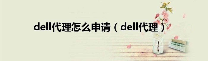 dell代理怎么申请（dell代理）