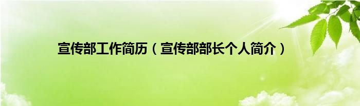 宣传部工作简历（宣传部部长个人简介）