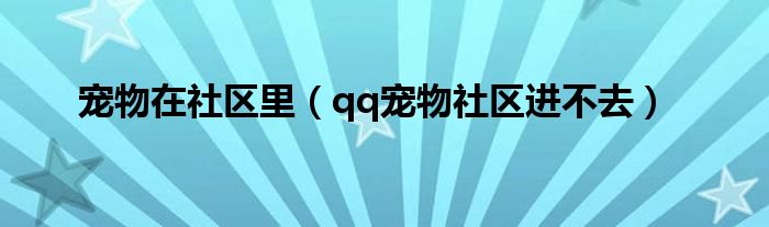 宠物在社区里（qq宠物社区进不去）