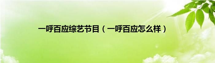 一呼百应综艺节目（一呼百应怎么样）