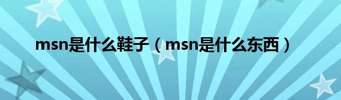 msn是是什么鞋子（msn是是什么东西）