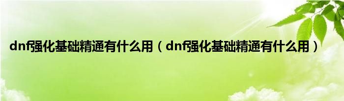 dnf强化基础精通有是什么用（dnf强化基础精通有是什么用）