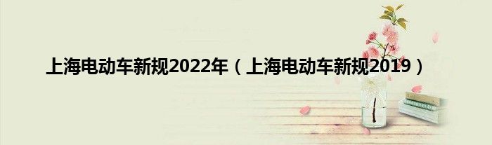 上海电动车新规2022年（上海电动车新规2019）