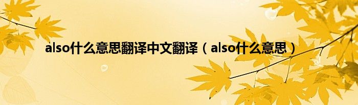 also是什么意思翻译中文翻译（also是什么意思）