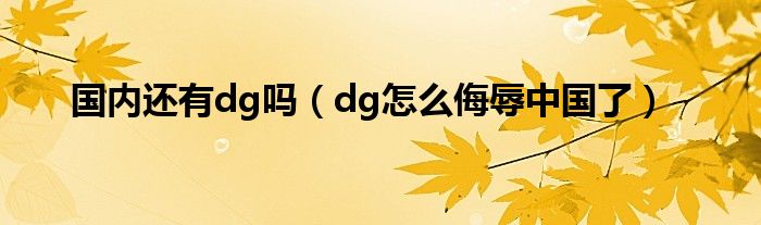 国内还有dg吗（dg怎么侮辱中国了）