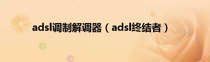 adsl调制解调器（adsl终结者）