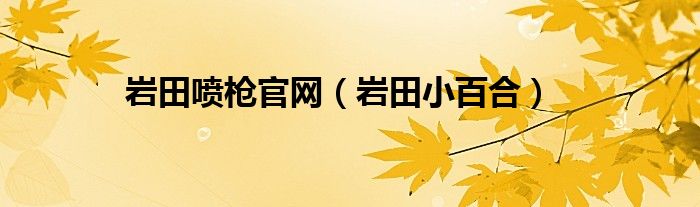 岩田喷枪官网（岩田小百合）