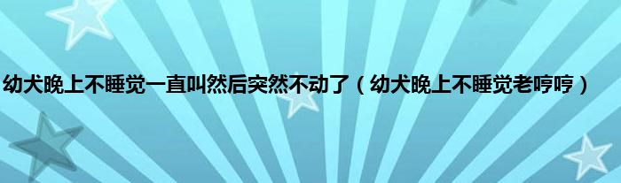 幼犬晚上不睡觉一直叫然后突然不动了（幼犬晚上不睡觉老哼哼）