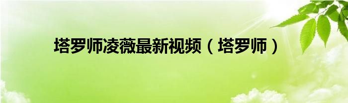 塔罗师凌薇最新视频（塔罗师）