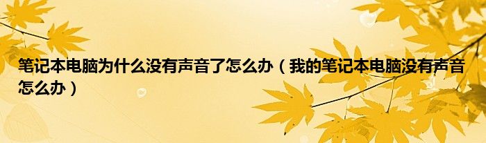 笔记本电脑为是什么没有声音了怎么办（我的笔记本电脑没有声音怎么办）