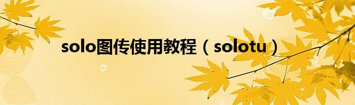 solo图传使用教程（solotu）