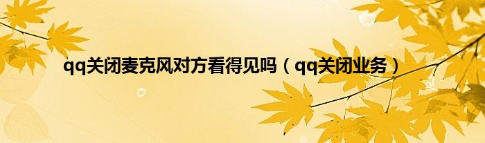 qq关闭麦克风对方看得见吗（qq关闭业务）