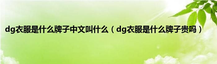 dg衣服是是什么牌子中文叫是什么（dg衣服是是什么牌子贵吗）