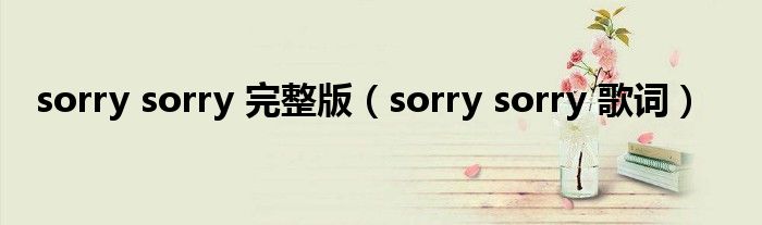 sorry sorry 完整版（sorry sorry 歌词）