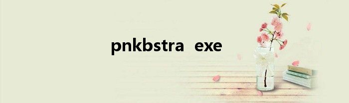 pnkbstra  exe